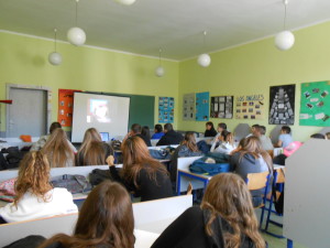 slobodna zona junior 004