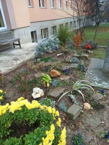 IMG-17d2067b8ab863105453c7ea1c6f42f5-V